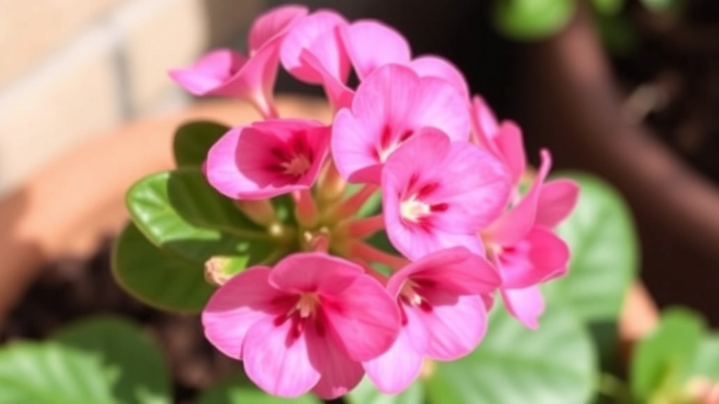 How to Propagate Kalanchoe Pink Butterflies: Step-by-Step Guide