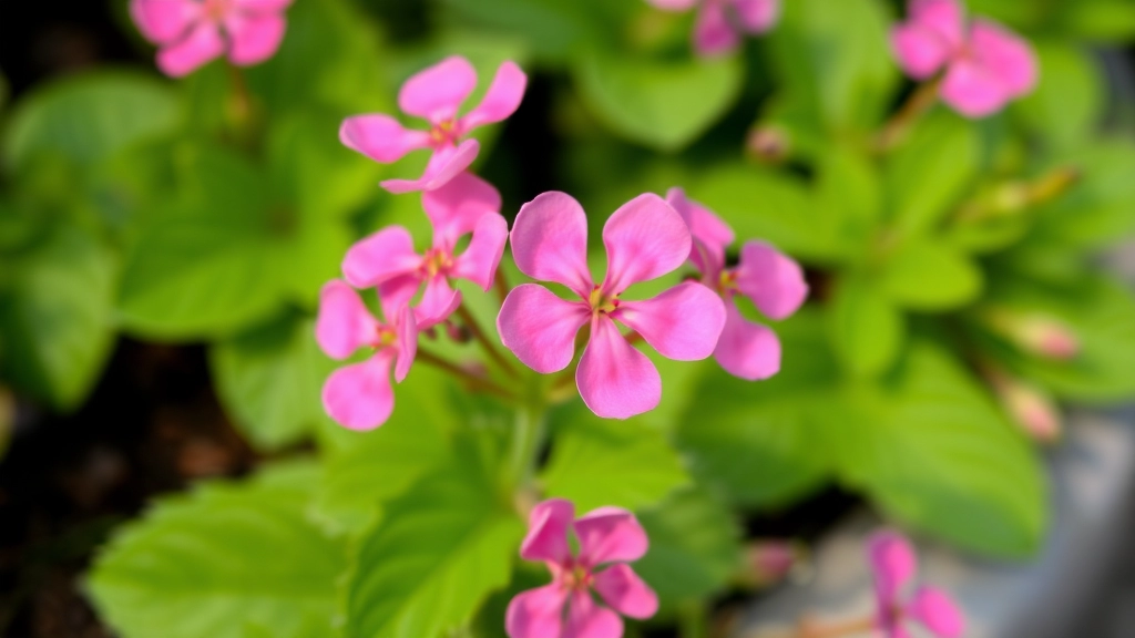 Pink Butterfly Kalanchoe: Care Tips and Growing Guide